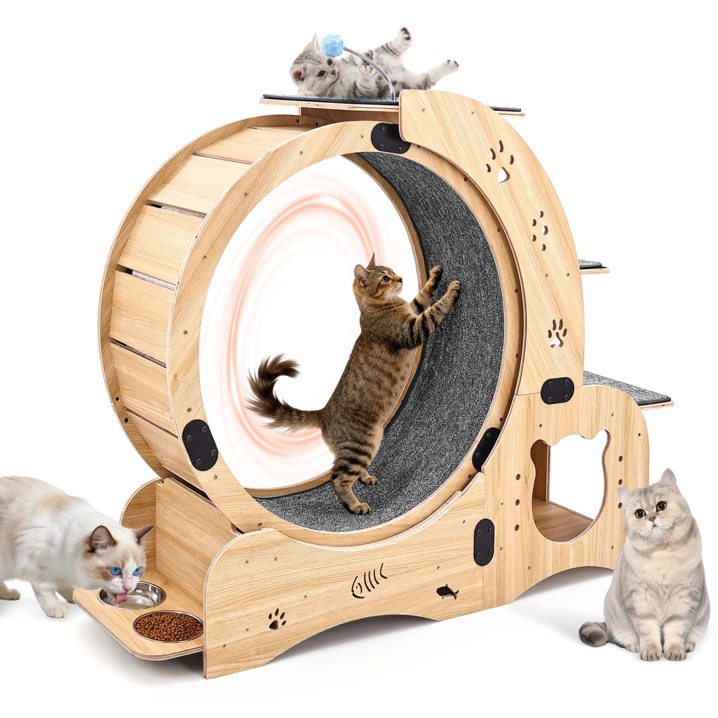 RUOTA PER GATTI 6-in-1 in legno naturale, grande, per interni