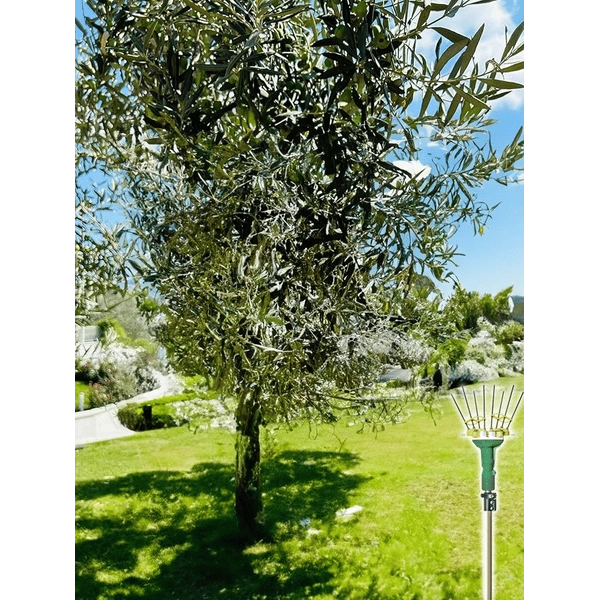 ABBACCHIATORE A BATTERIA 'ADRIAN' 12 V - SBARAGLIA