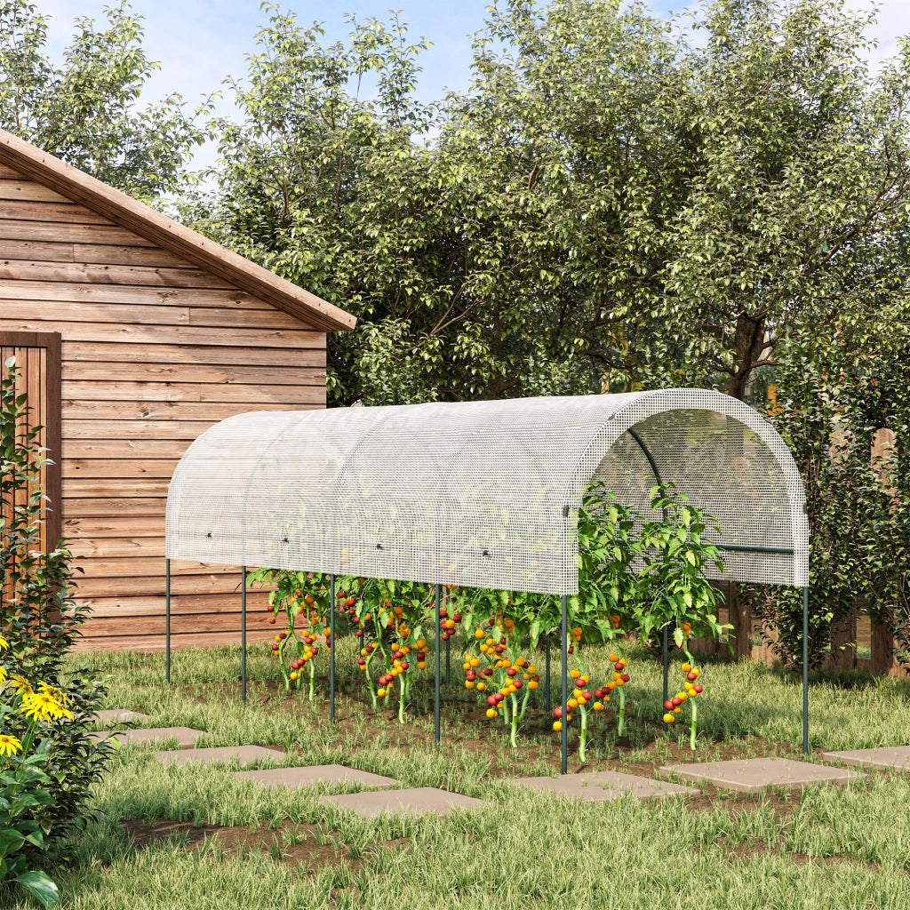 Serra da giardino per pomodori ¨C zephmum ¨C 4x1.2x1.7m 5 archi in acciaio con telo PE
