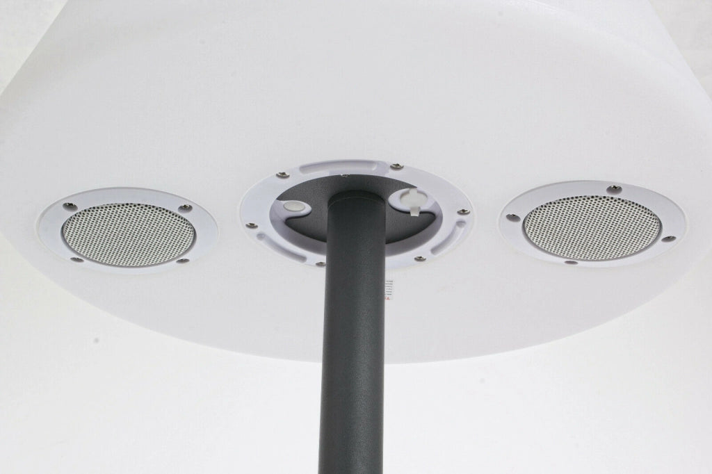 Lampada Piantana Solare Led da Esterno Giardino con Casse BlueTooth Bizzotto
