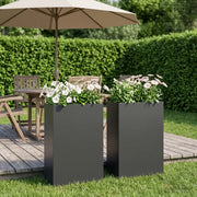 Vaso da giardino 2 pz Nero 50 x 20 x 75 cm 8005457