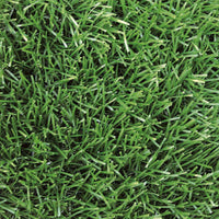 Erba Sintetica per Giardino 30mm 2x20m Rama Verdecor Extra Verde