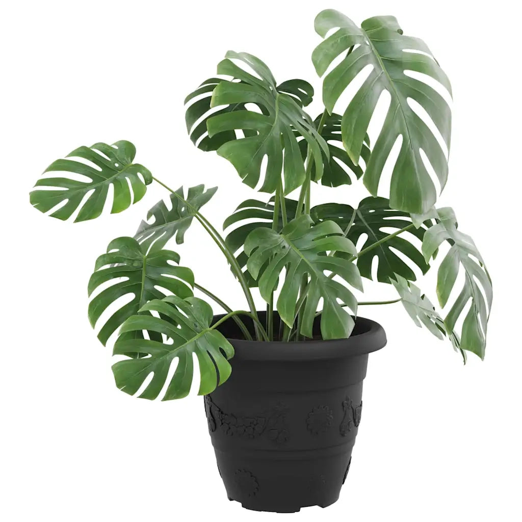 Fioriere | Cassetta per fiori | Vaso Rotondo per Fiori 24 pz Nero ? 26 x 21.5 cm Plastica