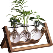 Coltivazione idroponica da tavolo vaso di vetro con supporto decorativo in legno per decorazione camera da letto, soggiorno e ufficio (3 pezzi)