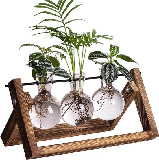 Coltivazione idroponica da tavolo vaso di vetro con supporto decorativo in legno per decorazione camera da letto, soggiorno e ufficio (3 pezzi)