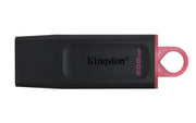 Kingston DTX/256GB