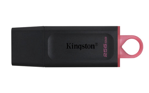 Kingston DTX/256GB
