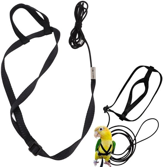 Strumento di allenamento esterno per uccelli da volo - grande/medio - 8 cinture formate - adatto a pappagalli e cacatue