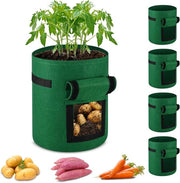 Set di Contenitori per Semi di 5 pezzi per Verdure, Frutta e Fiori