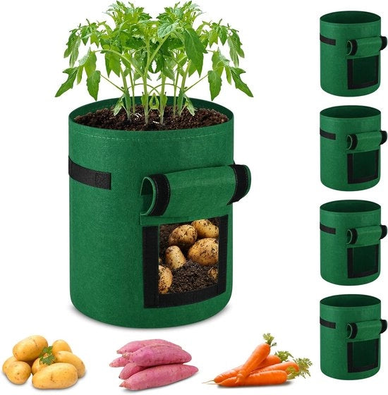 Set di Contenitori per Semi di 5 pezzi per Verdure, Frutta e Fiori