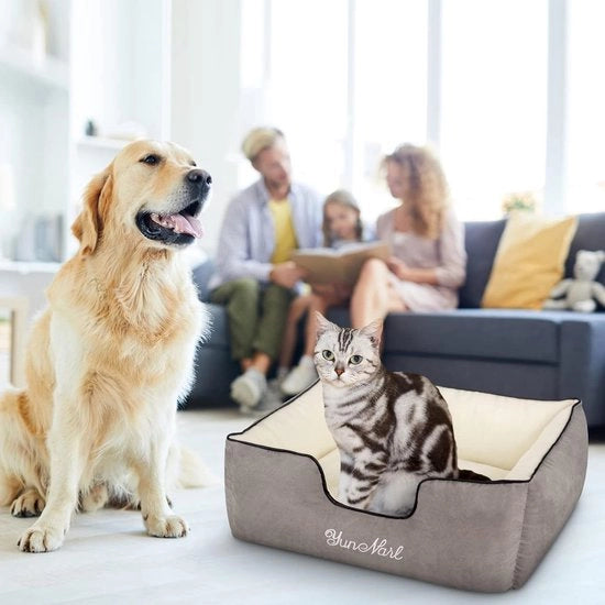 Letti per cani di medie dimensioni, letto per cani rettangolare ultradurissimo, letto per cani respirante con fondo antiscivolo impermeabile, letti per cani per cani di interno