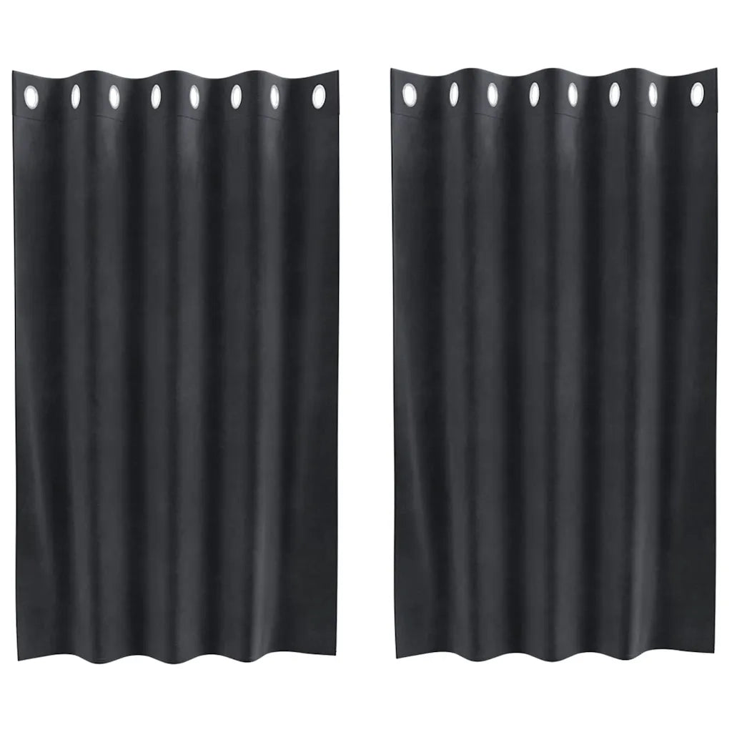 Tende oscuranti 2 pcs Grigio scuro 140 x 140 cm Velluto 4107223