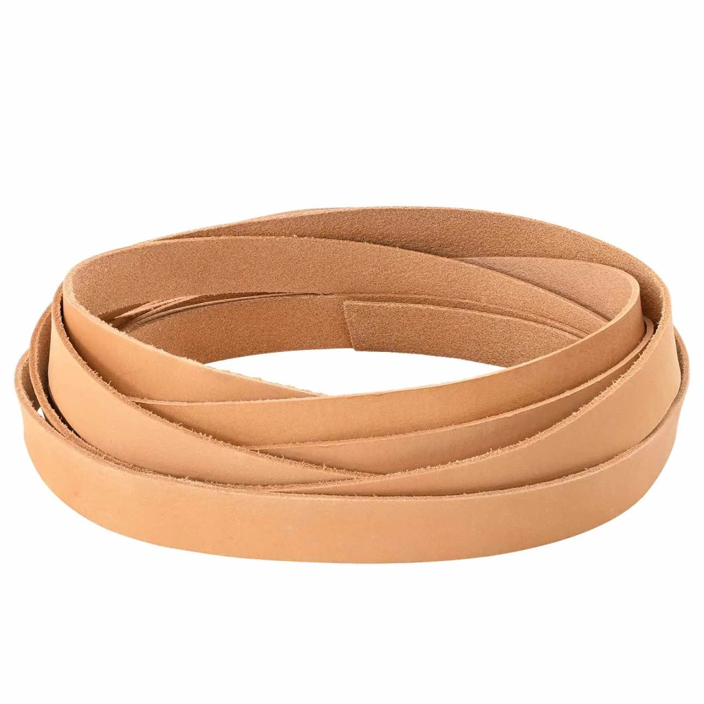 Cinturino in pelle Marrone Chiaro 200 x 1 cm Pelle 42034250