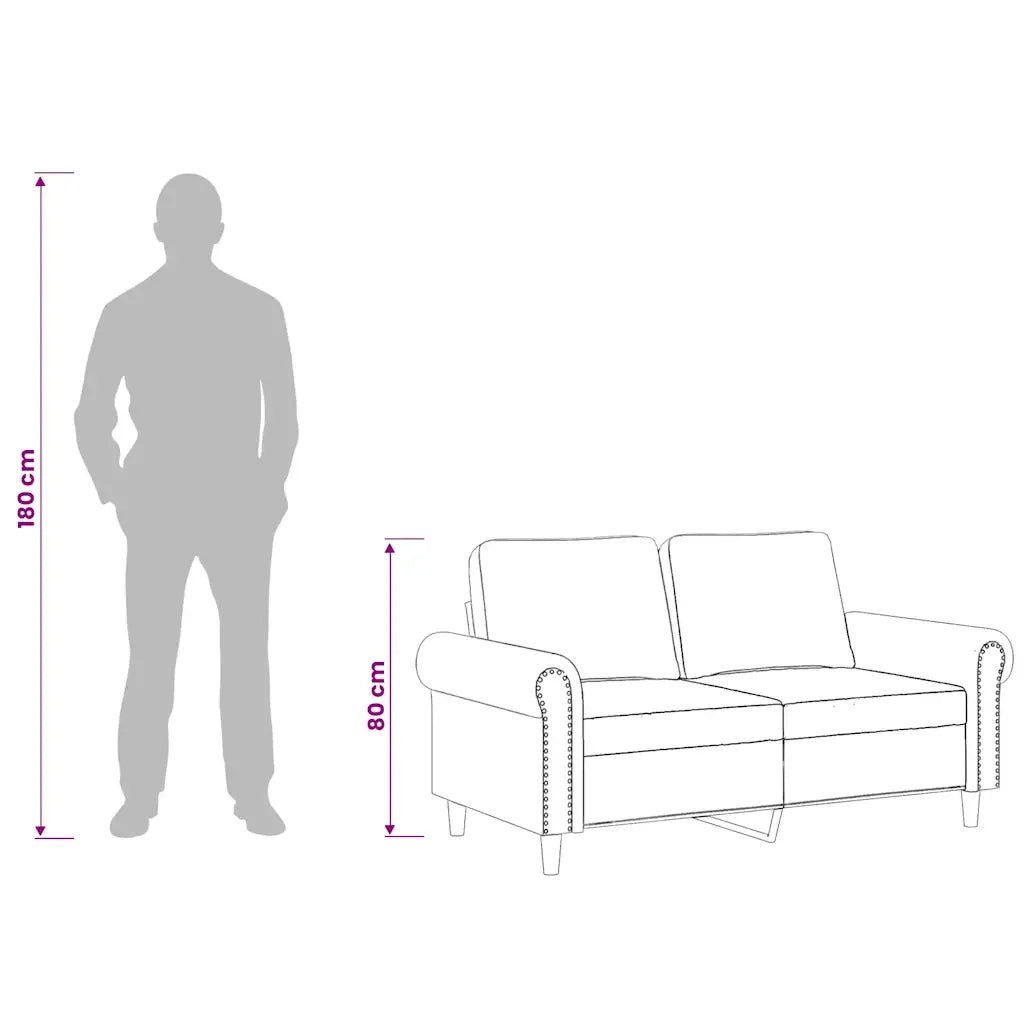 Divano | Divano da soggiorno | Sofa a 2 Posti Blu 120 cm in Velluto