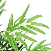 Albero Bamb¨´ Artificiale 500 Foglie 80 cm Verde CFW9444532