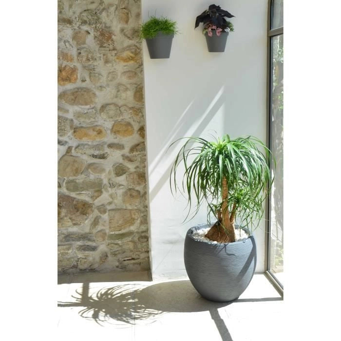 Grey 46L pot 50cm rotonda