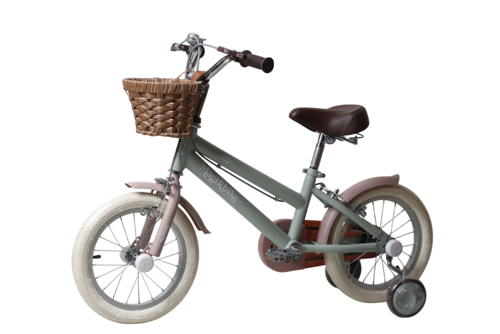 Bicicletta per Bambine Antonella 14 Pollici con Stabilizzatori e Cestino Verde e Rosa Verde e Rosa