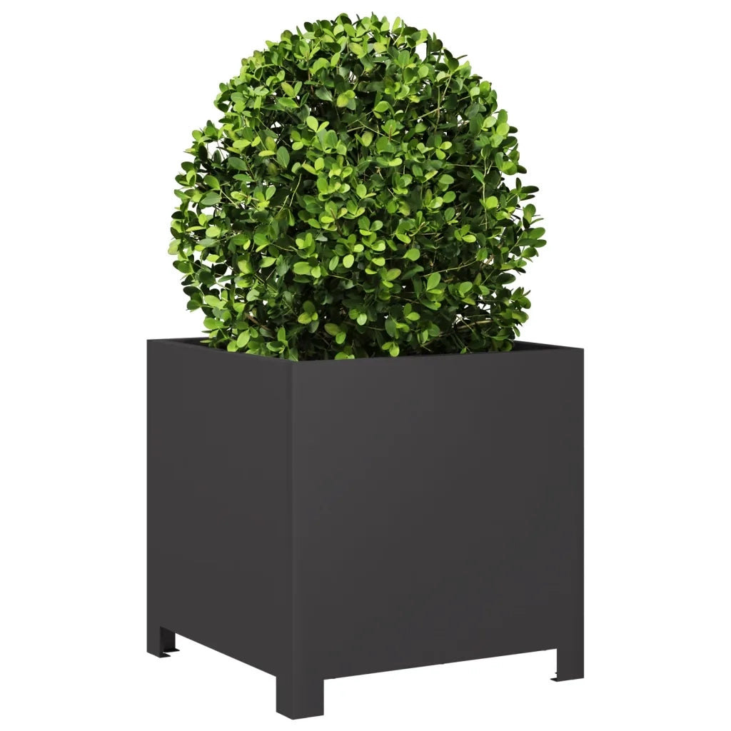 Fioriera | Cassetta per fiori | Vaso da Giardino Nera 40x40x40 cm Acciaio