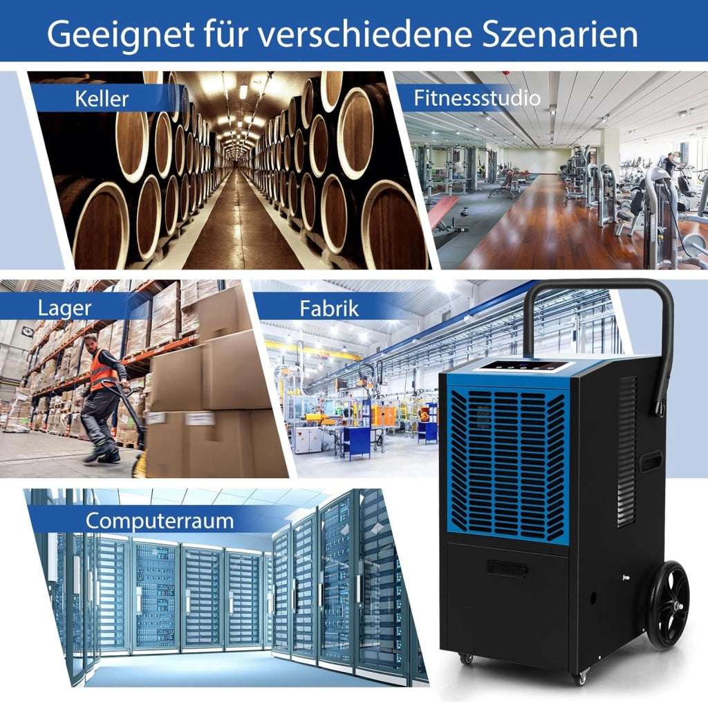 Deumidificatore Elettrico 66L/Giorno, Deumidificatore Professionale con Pompa di Scarico Automatica, Tubo di Scarico, Filtro Rimovibile, per Cantine, Magazzini, Scantinati (Nero+Blu)