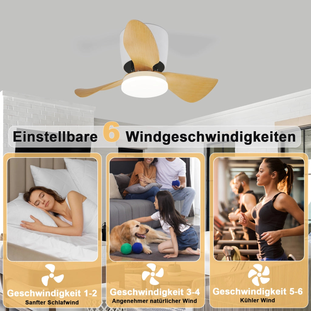 ZMH Ventilatore da soffitto con illuminazione e telecomando Lampada da soffitto LED dimmerabile da 23 W con ventilatore