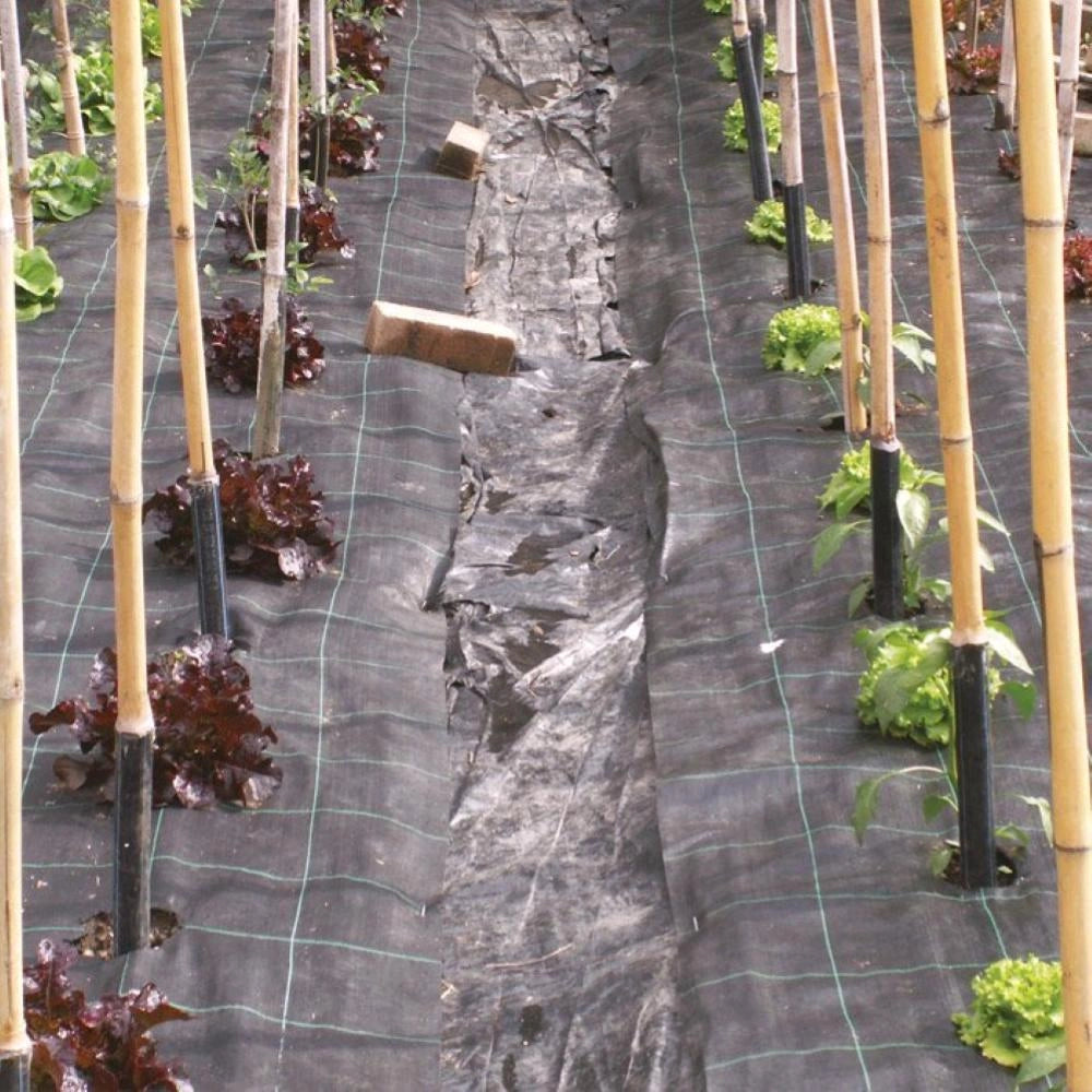 Telo Per pacciamatura Nero 2,10x10 mt 100gr/mq anti erbacce Anti UV Permeabile