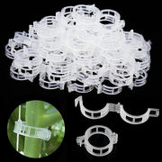 Clips per piante - 100 pezzi di sostegno per diverse piante