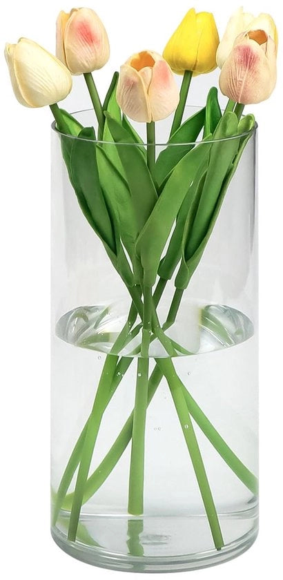 Acquario Cilindrico in Acrilica 25cm, Ø12cm – Vaso Acrilico Chiara Piccola Vaso Cilindrico in Plastica Infrangibile per Decorazione di Tavola per Ambiente di Casa e Matrimoni