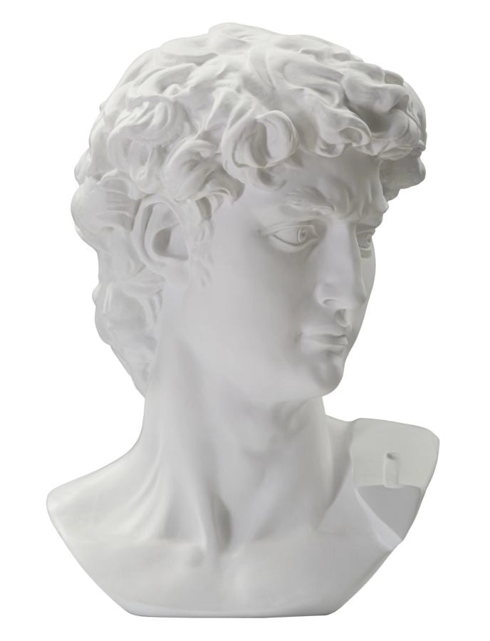 Scultura Testa Antica Bianca Cm 44X35,5X60