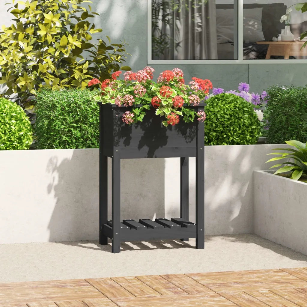 Fioriera | Cassetta per fiori | Vaso con Mensola Grigia 54x34,5x81cm Legno Massello di Pino