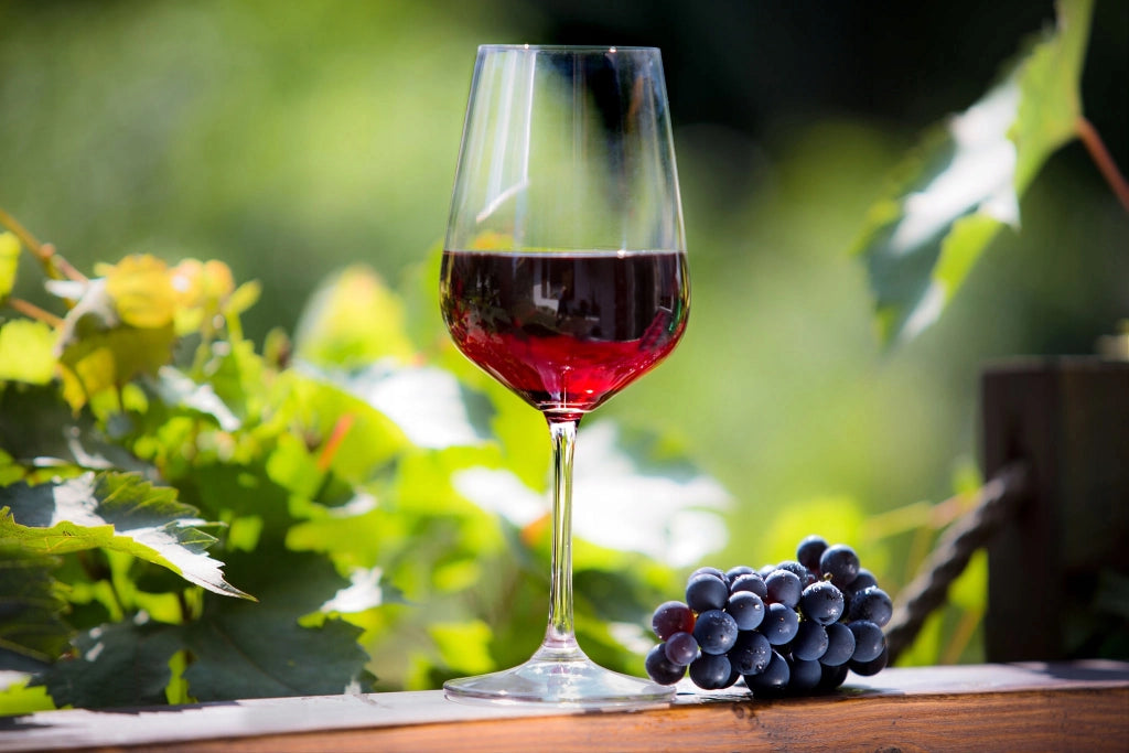 Set di 6 bicchieri da vino rosso e bianco KADAX da 450 ml