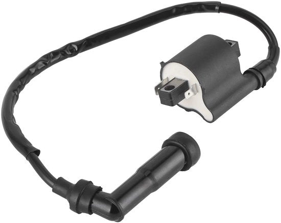 Bobina per Motocicletta - Qualità Elevata - Adatto per Royal Star 1300 - Prestazioni affidabili - Supporta moto