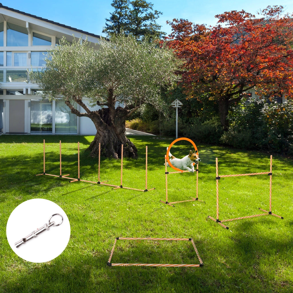 Set Agility per Addestramento Cani con Slalom Ostacoli Ajustables ¨C zephmum ¨C Grigio