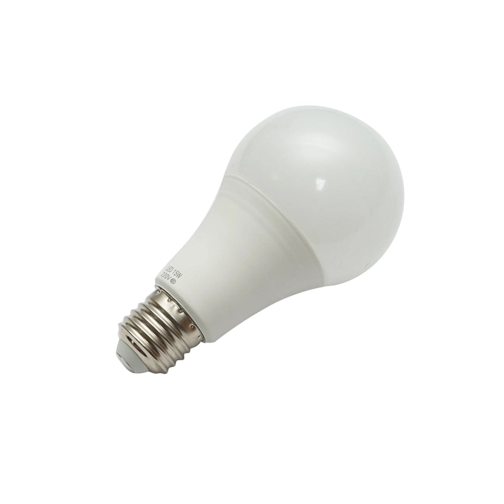Lampadina LED 15W 220V E27