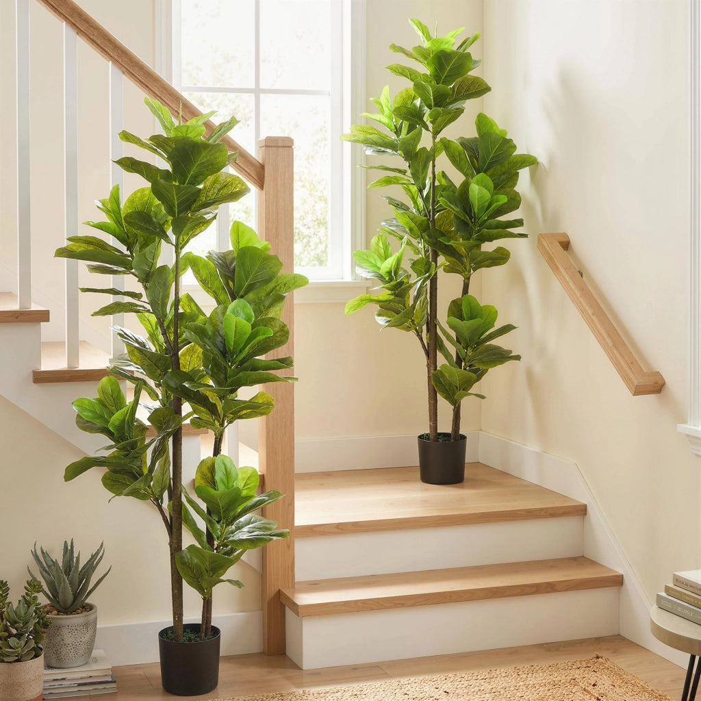 Pianta Finto Fico Lira 150 cm ¨C zephmum ¨C Verde, Cemento