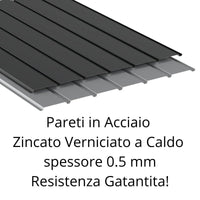 Casetta Box da Giardino 249,1x209,3x231,3 cm in Acciaio Zincato Grigio