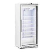 Congelatore verticale di grandi dimensioni con refrigerante R290 di grande capacità (volume: 580 litri, potenza: 492 watt, porta con doppio vetro) 14_0005260