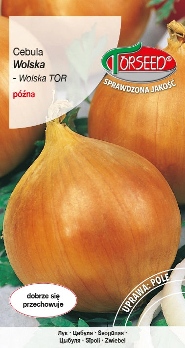 Cipolla Wolska 5g