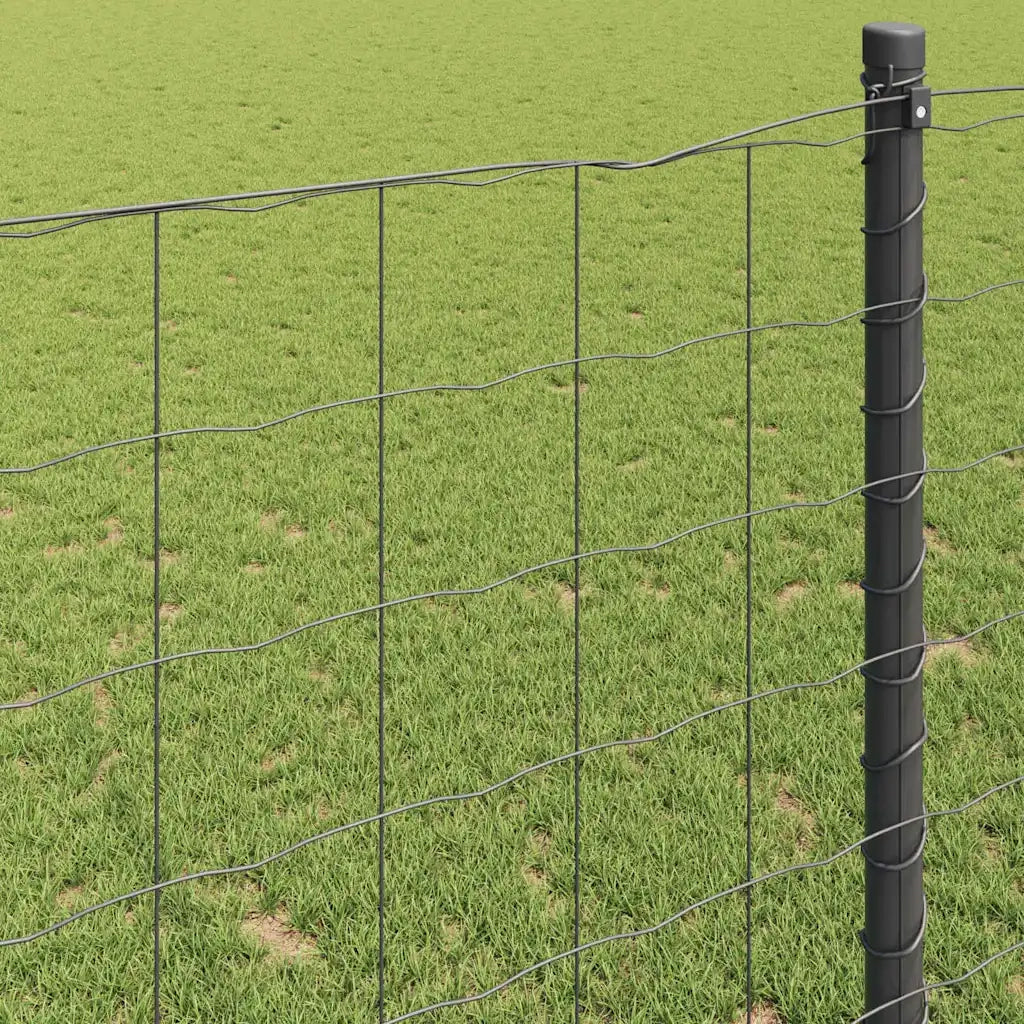 Recinzione Euro Grigio 1,6 x 10 m Ferro rivestito in PVC 42004513