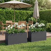 Vaso da giardino 2 pz Antracite 100 x 30 x 40 cm 8005615