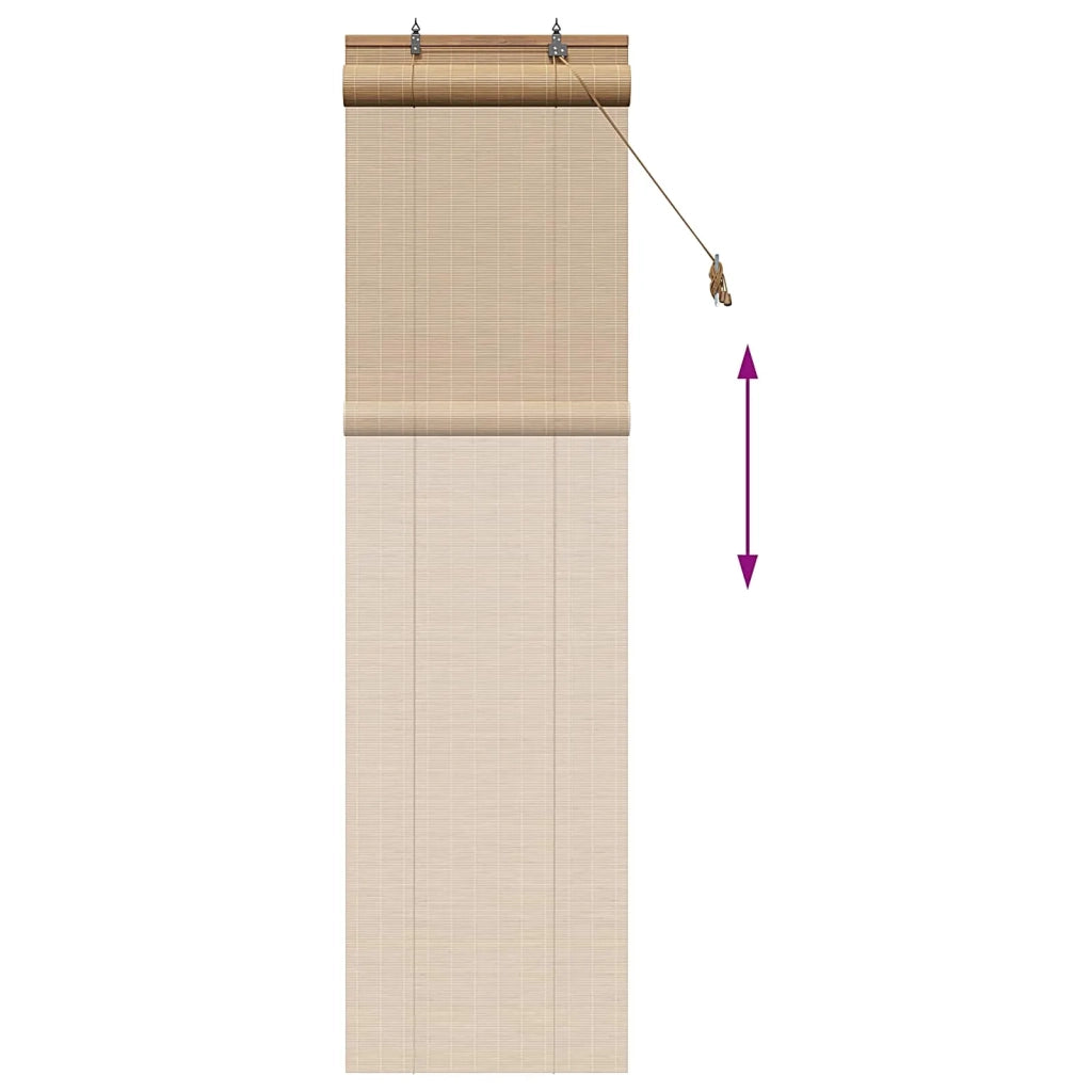 Tenda a rullo Marrone 40 x 220 cm Bambù 42039739