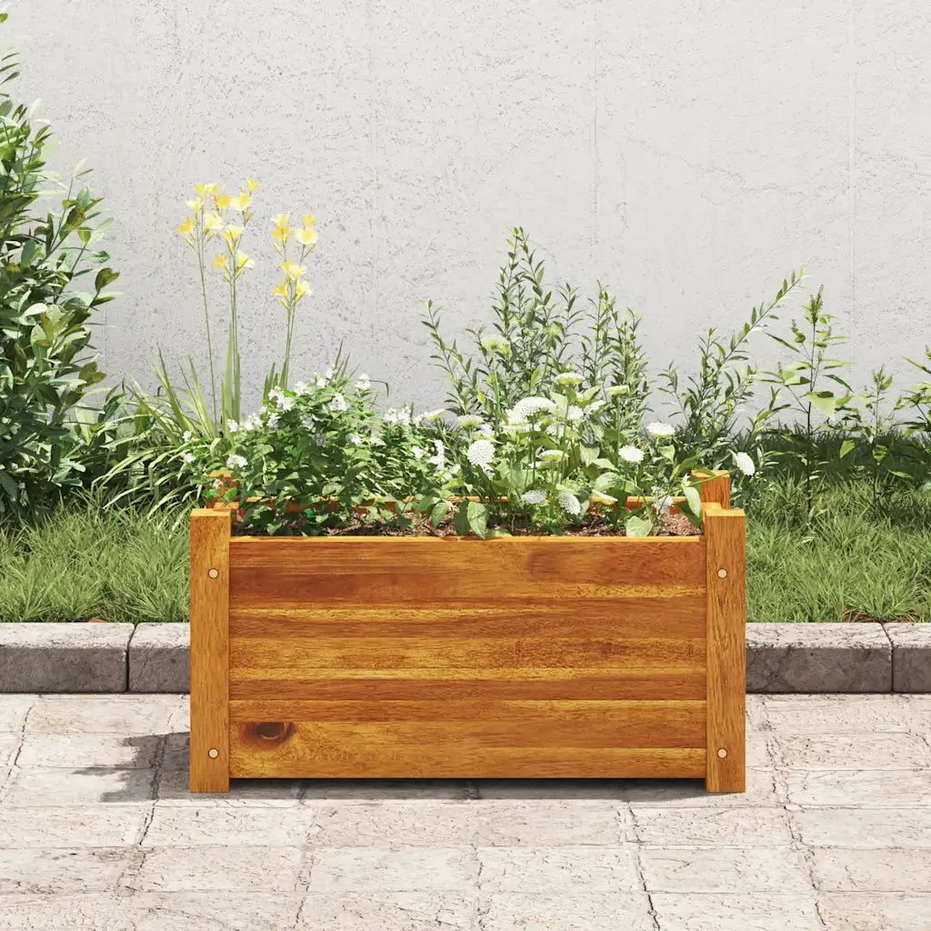 Fioriere | Cassetta per fiori | Letto Rialzato da Giardino in Legno di Acacia 50x25x25 cm