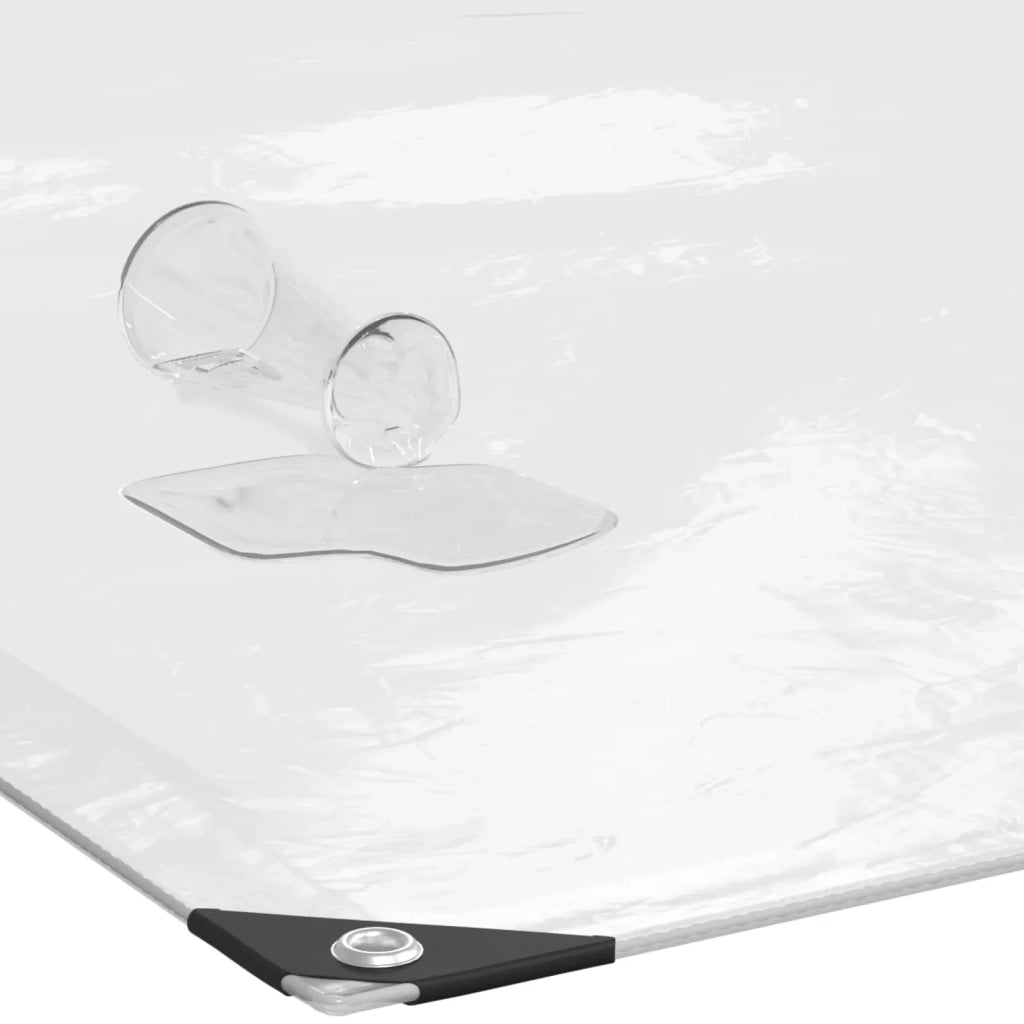 Copertura per Piante Trasparente 6 x 1,5 m PE 3429299