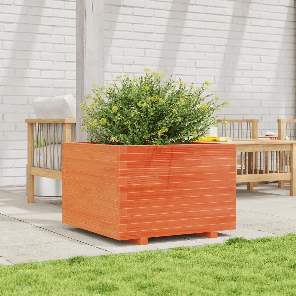 Fioriera | Cassetta per fiori | Vaso Giardino Marrone Cera 70x70x49,5cm Legno Massello Pino