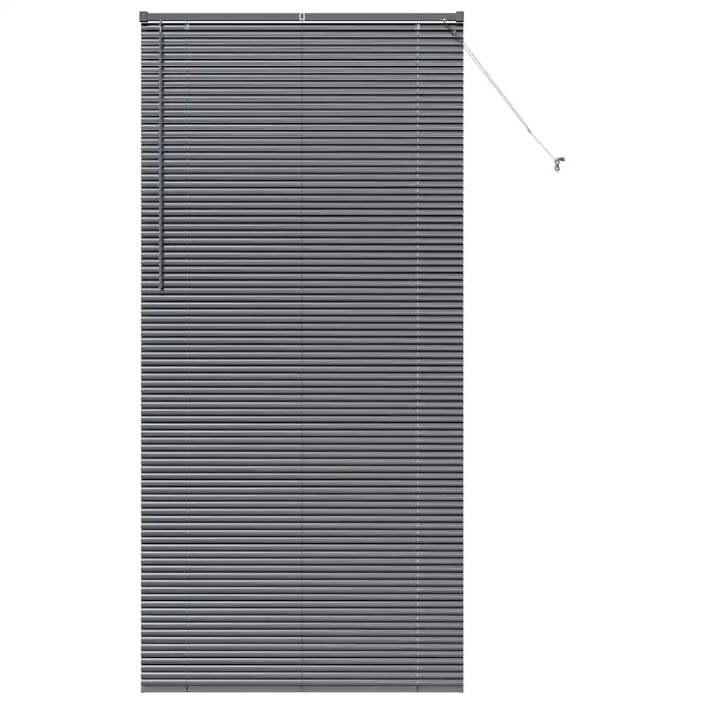 Tendaggi a Veneziana | Tenda a lamelle Grigio scuro 220 x 100 cm Alluminio