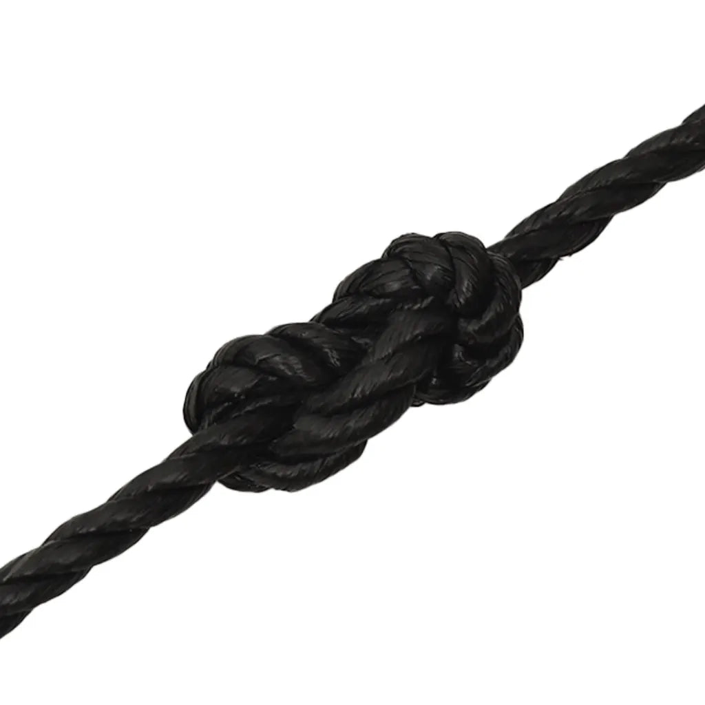 Corda da Lavoro Nera 10 mm 250 m in Polipropilene 153014