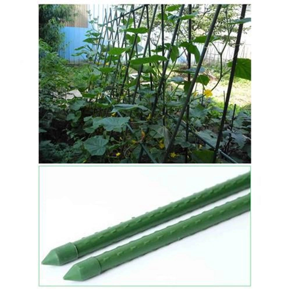 Trade Shop - Set 25 Pali Tutori Canna Per Sostegno Piante Rampicanti Pomodori H60cm ø8mm Grn02 163860a -