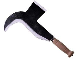 RONCOLA PENNATO TIPO SORA  lama mm.270