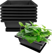6 Bonsai vasi in plastica con sottopiano - Bonsai vasi in plastica per uso riciclabile da 16 x 12 x 6 cm