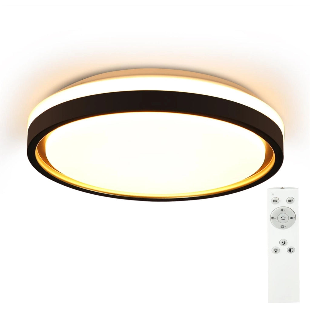 ZMH Lampada da soffitto plafoniera LED dimmerabile telecomando moderna 30 cm per soggiorno corridoio