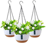 Pannelli per piante 3 in 1, contenitori in plastica, grappe in metallo, contenitori per piante da appendere, contenitori per piante da appendere rimovibili, contenitori per piante da appendere per interni ed esterni, giardino, decorazione per parete